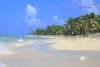 Guadeloupe - Pointe A Pitre, Résidence locative Résidence Tropicale