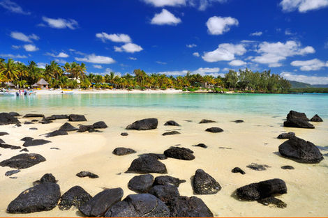Plage - Le Palmiste