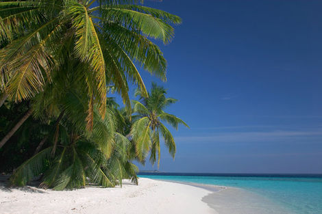 Plage - Fihalhohi Resort