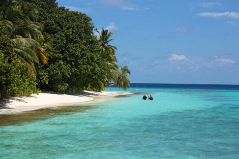 Plage - Fihalhohi Resort