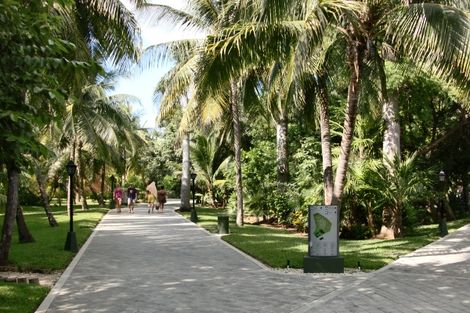 Allées de l'hôtel - Riu Tequila