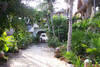 Playa del Carmen - Colibri