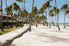 Republique Dominicaine - Punta Cana, Hôtel Barcelo Bavaro Palace Deluxe 5*