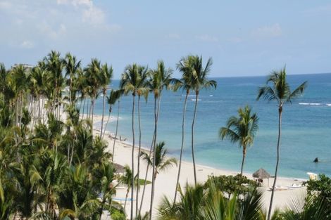 ocean - Costa Caribe Coral