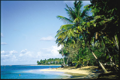plga - Aligio Beach 
