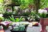 Thailande - Bangkok, Hôtel Club Coral Saveurs culinaires 3*