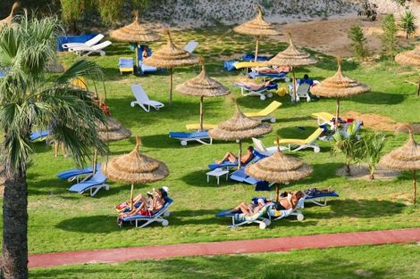 Transats sur la pelouse - One Resort Monastir