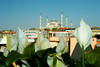 Turquie - Istanbul, Istanbul la Magnifique 3*