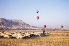 Turquie