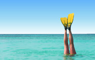 Vacances Plongée