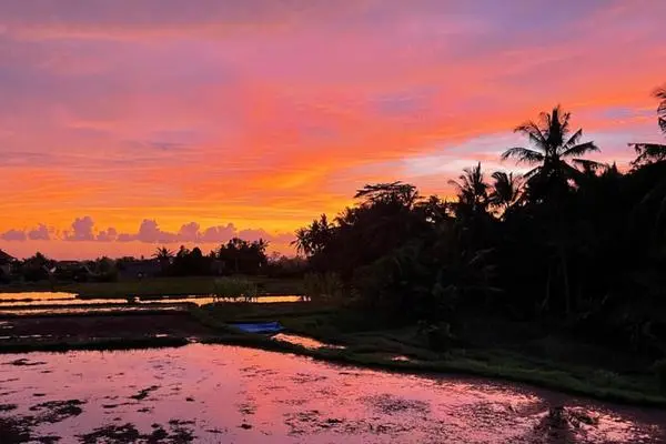 Bali : Hôtel Luxe Villas Bali