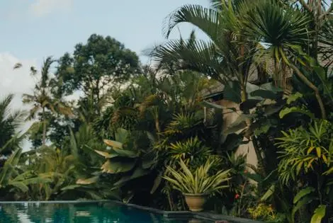 Bali : Hôtel The Shala Bali