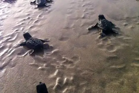 Cap Vert : Hôtel Estoril Boavista