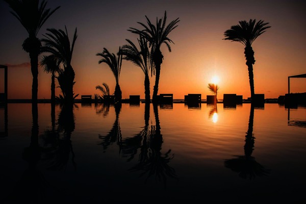 Chypre : Hôtel Almyra Hotel