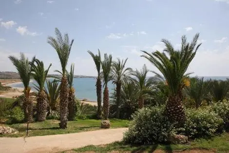 Chypre : Hôtel Ascos Coral Beach