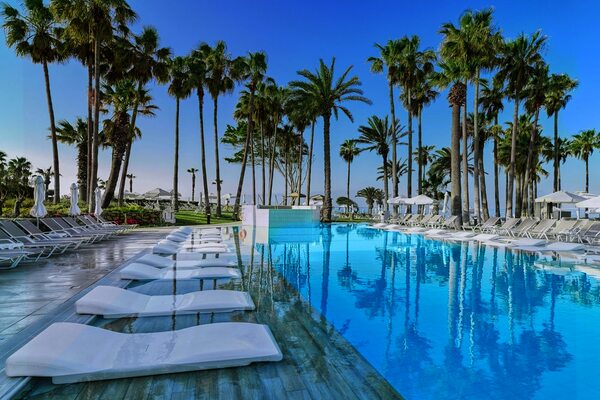 Chypre : Hôtel Leonardo Plaza Cypria Maris Beach Hotel & Spa