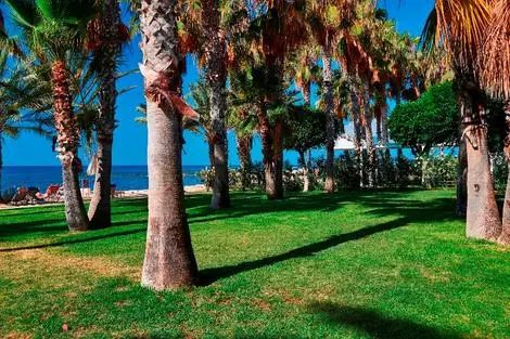 Chypre : Hôtel Louis Phaethon Beach