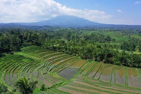 Bali : Circuit Combiné Jungle, Rizières et Sable de Bali