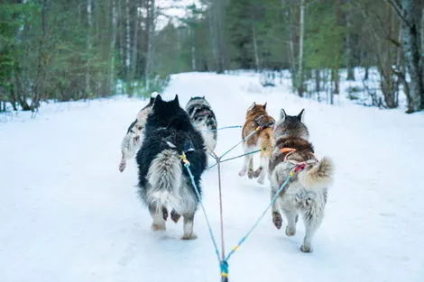 Canada : Circuit Séjour multi-activités Québec : Hiver au Lac Blanc