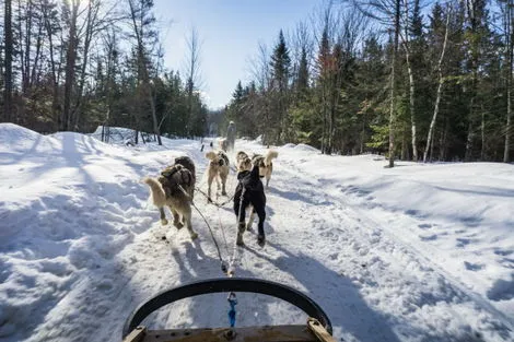 Canada : Circuit Au coeur de l'hiver canadien