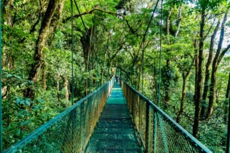 Costa Rica : Circuit Viva La Vida et plage de Tamarindo