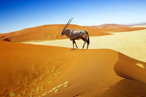 Namibie : Circuit Découverte de la Namibie et chutes Victoria