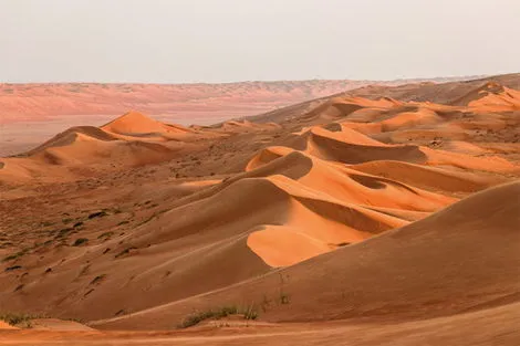 Oman : Circuit Le Sultanat d'Oman, l'Arabie heureuse