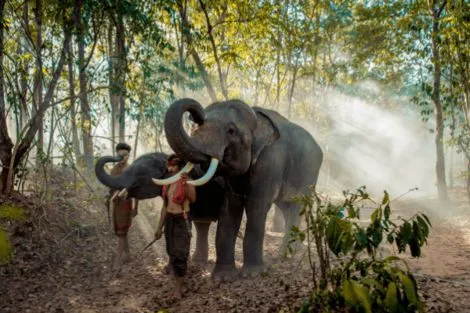 Thailande : Combiné circuit et hôtel Royaume du Siam et plage à Hua Hin