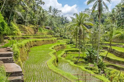 Bali : Combiné hôtels Jungle, Océan et Sable de Bali