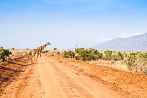 Kenya : Combiné circuit et hôtel Papillon Lagoon Reef 3* avec 2 nuits Tsavo est/Ouest