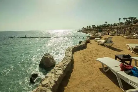 Egypte : Hôtel Sharming Inn