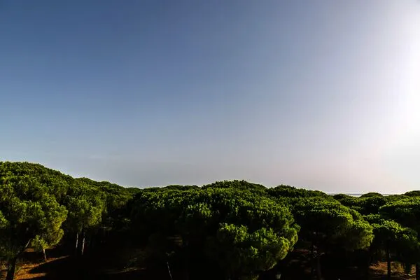 Espagne : Hôtel Vime Islantilla