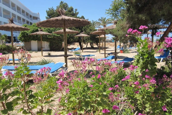 Formentera : Hôtel Ses Savines Hotel