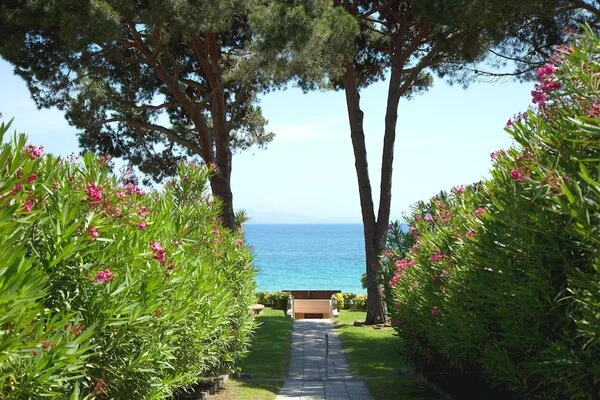France Corse : Hôtel La Pinède