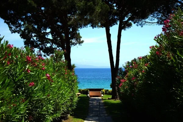 France Corse : Hôtel La Pinède