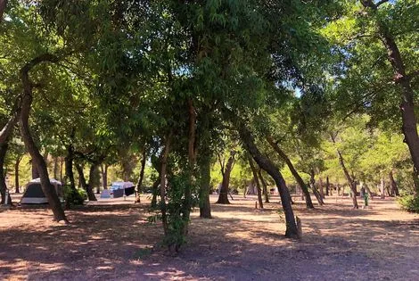 France Corse : Hôtel Camping Dolce Vita