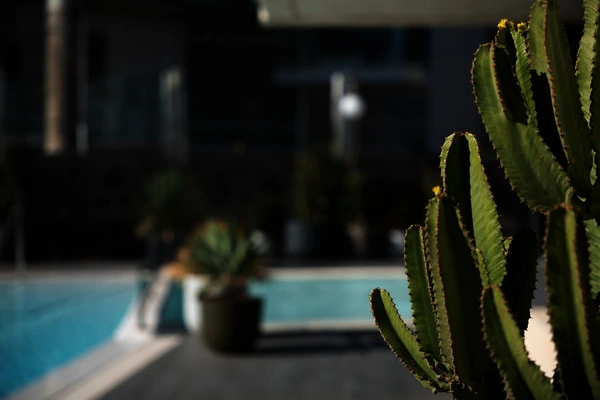Grande Canarie : Hôtel El Palmar