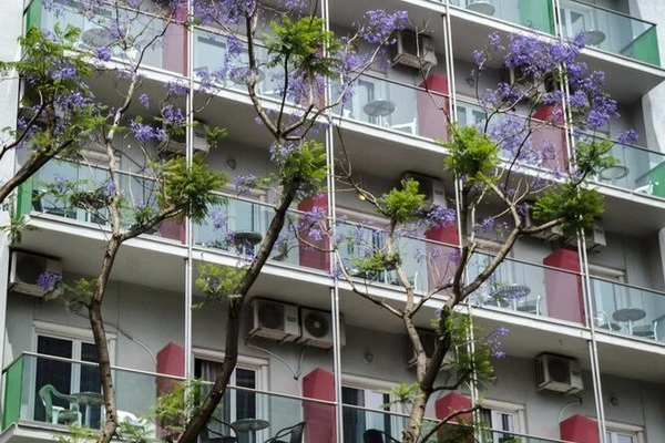 Grèce : Les Cyclades : Hôtel Attalos