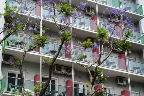 Grèce : Les Cyclades : Hôtel Attalos