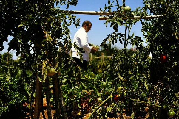 Grece : Hôtel Santo Pure Oia Suites & Spa