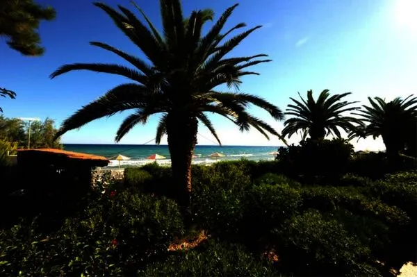 Grece : Hôtel Argassi Beach Hotel