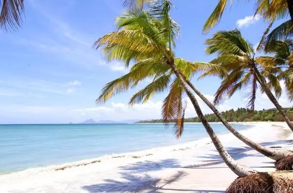 Iles Grenadines : Hôtel La Pagerie