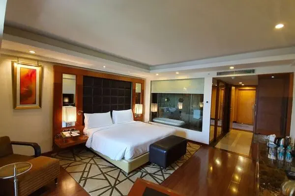Inde : Hôtel Radisson Blu Plaza Delhi