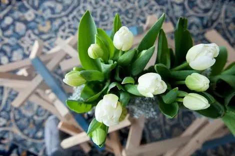 Israel : Hôtel Diaghilev Live Art Suites