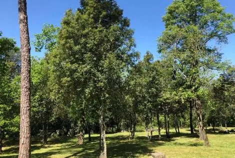 Italie : Hôtel Toscana Verde