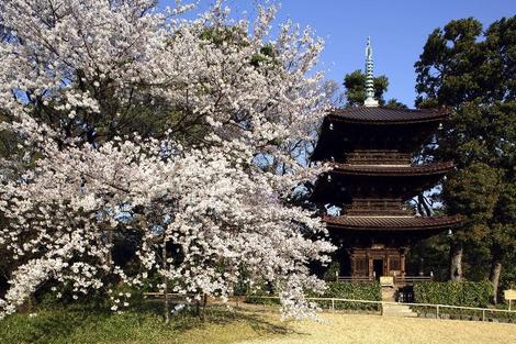 Japon : Hôtel Chinzanso Tokyo