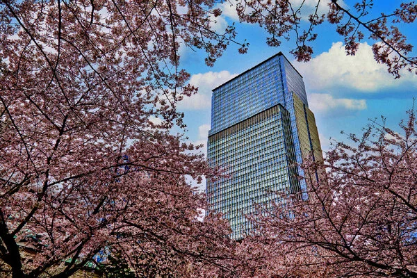 Japon : Hôtel Mandarin Oriental Tokyo