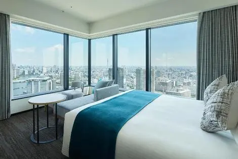 Japon : Hôtel Mitsui Garden Hotel Toyosu Premier