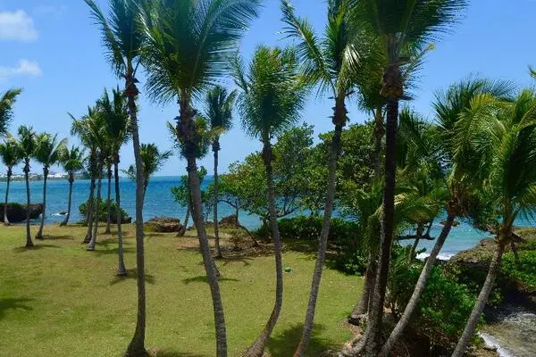 Marie-Galante : Hôtel Fleur d'Épée