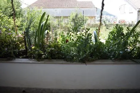 Montenegro : Hôtel Jele Rooms